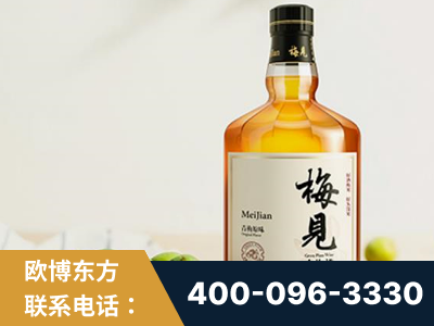 孝感-梅见青梅酒